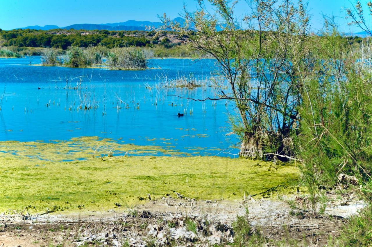 Refugio De Tranquilidad En Gran Alacant Exterior photo